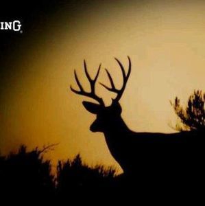 Meet your Posher, Dylan